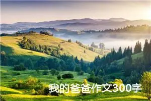 我的爸爸作文300字三年级（精选20篇）