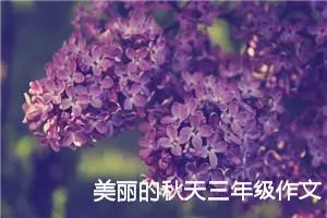 美丽的秋天三年级作文300字（通用30篇）