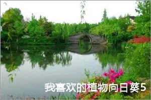 我喜欢的植物向日葵500字作文三年级（精选20篇）