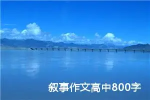 叙事作文高中800字（精选20篇）