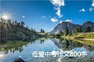 母爱中考作文800字