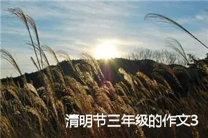 清明节三年级的作文300字精选8篇（全文）