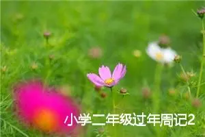 小学二年级过年周记200字