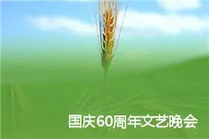 国庆60周年文艺晚会观后感1000