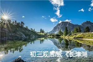 初三观后感:《长津湖之水门桥》观后感四十三