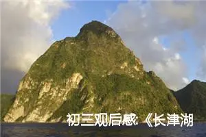 初三观后感:《长津湖之水门桥》观后感三十五