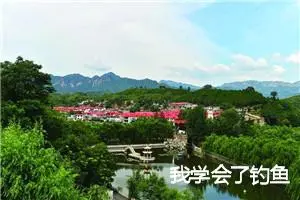 我学会了钓鱼