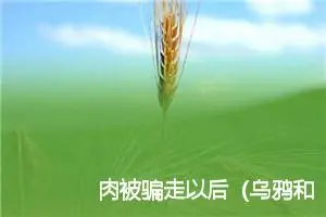 肉被骗走以后（乌鸦和狐狸读后续故事）