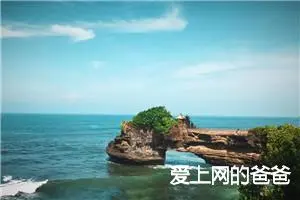 爱上网的爸爸