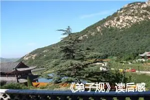 《弟子规》读后感