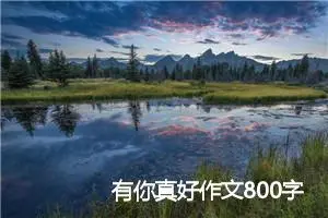 有你真好作文800字