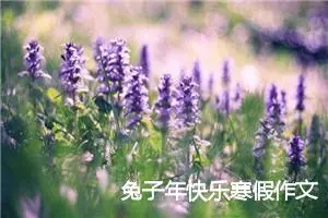 兔子年快乐寒假作文