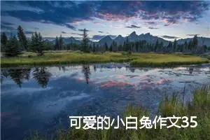 可爱的小白兔作文350字