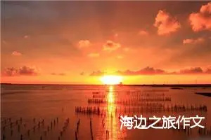 海边之旅作文