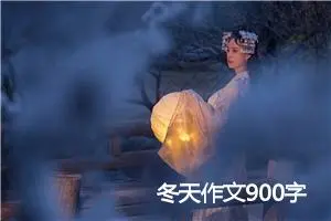 冬天作文900字