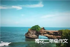 梅花二年级作文