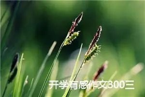 开学有感作文300三年级