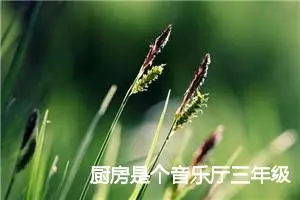 厨房是个音乐厅三年级小练笔作文