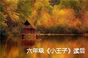 六年级《小王子》读后感600字