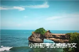 小升初考试感想作文