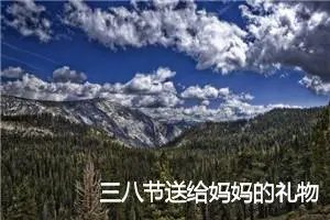 三八节送给妈妈的礼物作文