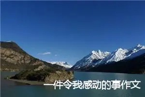 一件令我感动的事作文