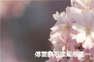 傅雷家书读后感高一