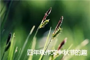 四年级作文中秋节的趣事