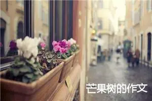 芒果树的作文