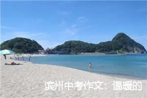 滨州中考作文：温暖的旅程