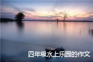 四年级水上乐园的作文