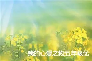 我的心爱之物五年级优秀作文