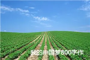 我的中国梦800字作文