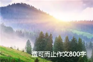 适可而止作文800字