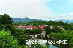 2025三年级小学生日记作文（精选18篇）