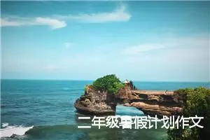 二年级暑假计划作文