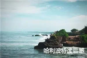 哈利波特读后感