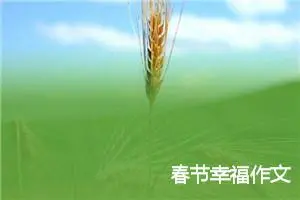 春节幸福作文