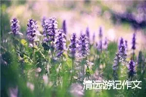 清远游记作文