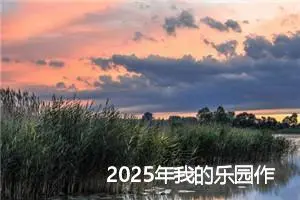 2025年我的乐园作文400字左右（精选18篇）