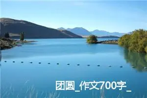 团圆_作文700字_小学议论文作文