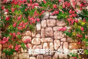 致感冒的一封信_作文650字_小学写信作文