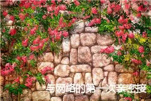 与网络的第一次亲密接触_作文550字_小学生网上作文