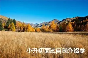 小升初面试自我介绍参考范例_作文450字_小升初作文