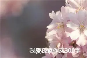 我爱我家作文300字