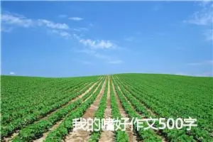 我的嗜好作文500字