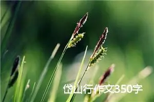 岱山行作文350字