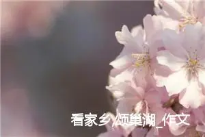 看家乡,颂巢湖_作文750字_小学生孝心作文