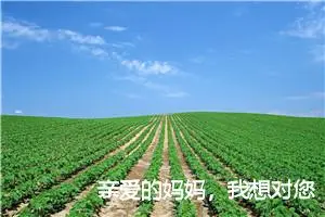 亲爱的妈妈，我想对您说_作文1000字_小学写信作文