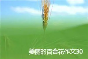 美丽的百合花作文300字